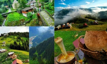 Karadeniz’in Sesi İle Güncel Haberlere Ulaşın