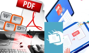 Word to PDF Nasıl Yapılır?